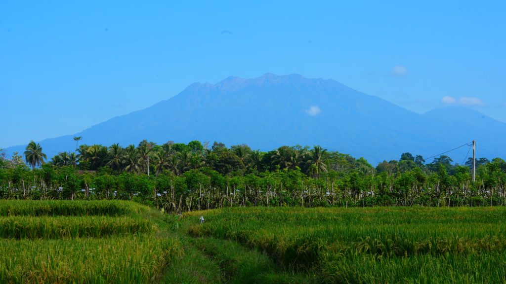 Roman mistis dari lereng Raung